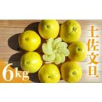 ふるさと納税 果物類 みかん 高知県 須崎市  2026年2月下旬より順次発送 土佐文旦 6kg 高知県産 柑橘 フルーツ 文旦 ぶんたん ブンタン 分担 果物 みかん 文旦…