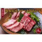 牛肉 ステーキ 定期便10か月 ステーキ用