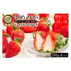 ショッピングふるさと納税 いちご ふるさと納税 いちご 長崎県 島原市  期間限定発送 DE178 長崎県知事賞受賞 厳選 いちご 「 ゆめのか （2L〜3L）」 260g × 4パック 1〜4月にお届け レビュー…