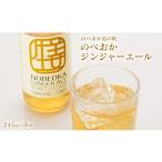 炭酸飲料のべおか道の駅のべおかジンジャーエール8本