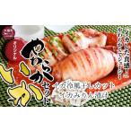 ふるさと納税 干物 イカ 岩手県 大槌町 イカ セット(冷風干しカット170g×5・みりん漬け170g×2パック ｜冷凍 マツイカ いか いか焼き イカ焼き ポッポ焼き い…