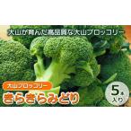 野菜類 MS-27 大山ブロッコリー きらきらみどり 5本入り