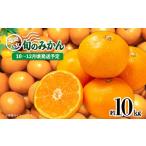 ふるさと納税 果物類 みかん 福岡県 八女市  先行受付 九州・福岡フルーツ王国八女 産地直送 旬のみかん 約10kg 2026年10月〜12月頃発送 配送不可：北海道・沖…