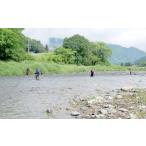 体験チケット 気仙川 遊漁券 年券 全魚種 鮎釣りも