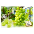 ふるさと納税 果物類 ぶどう 山梨県 韮崎市  2026年発送 シャインマスカット 予約 約 2kg シャイン マスカット 山梨 ぶどう ブドウ 葡萄 種なし 果物 フルーツ…