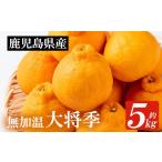 みかん 柑橘類 デコポン 1月中旬頃から発送