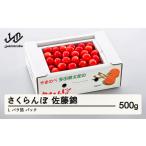 ふるさと納税 果物類 さくらんぼ 山形県 山辺町 《先行予約》2025年 山形県産 佐藤錦 バラ詰め(パック)500g やまのべ多田耕太郎のさくらんぼ サクランボ F20A…