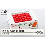 ふるさと納税 果物類 さくらんぼ 山形県 山辺町 《先行予約》2025年 山形県産 佐藤錦 本詰め 約500g L~2L やまのべ多田耕太郎のさくらんぼ サクランボ F20A-04…