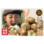 幻のたまねぎ 泉州黄玉ねぎ 10kg