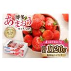 ふるさと納税 いちご 福岡県 宗像市 4月発送 「博多あまおう」約280g×4パック ほたるの里 _HA0526