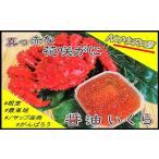いくら C-59020 根室産 花咲がに 醤油イクラセット