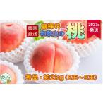 もも 農園直送 朝採れ和歌山の桃 約2kg