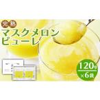 加工品等 ピューレ メロンピューレ 120g×6袋