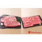 牛肉 ステーキ 定期便 能登牛プレミアム食べ比べコース