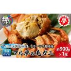 ふるさと納税 カニ 毛ガニ 北海道 枝幸町  No.5708-1041 オホーツク枝幸産 マル夢の毛ガニ約900g×1尾 冷凍ボイル 柴田水産 枝幸産 毛ガニ 蟹 かに カニ 北海…