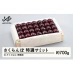 ふるさと納税 果物類 さくらんぼ 山形県 山辺町 《先行予約》2025年 山形県産 特選サミット 桐箱詰め 約700g やまのべ多田耕太郎のさくらんぼ サクランボ F20A…