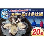 ふるさと納税 牡蠣 生牡蠣 佐賀県 太良町 海男の殻付き牡蠣　２０個