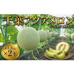 メロン メロン青肉 通年発送 アクアメロン 約1.4kg