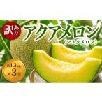 メロン メロン青肉 訳あり 通年発送 アクアメロン 約1.3kg