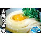 うどん 生 半生めん さぬきうどん 食べ比べセット 4種