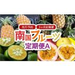 ふるさと納税 みかん・柑橘類 沖縄県 竹富町 2026年 先行予約 定期便 3ヶ月 南国フルーツ 定期便A パイン シークワーサー 計4種類 果物 フルーツ 3回 お楽しみ