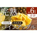 ふるさと納税 果物類 沖縄県 竹富町 定期便 2ヶ月 2026年 先行予約 旬のパインアップル 約3kg 水鴨農園 2回 お楽しみ 果物 フルーツ 定期便 約3kg×2回(計約6k…