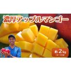 ふるさと納税 マンゴー 沖縄県 竹富町 2025年 先行予約 アップルマンゴー 約2kg 4〜6玉 セット 八重山マンゴー品評会総合1位を計3回獲得 高糖度保証 農園ファ…