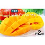 ふるさと納税 マンゴー 沖縄県 竹富町 2026年 先行予約 アップルマンゴー 約2kg (3〜6玉) 完熟 マンゴー ますみ農園 果物 フルーツ 約2kg（3〜6玉）