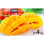 ショッピングふるさと納税 マンゴー ふるさと納税 マンゴー 沖縄県 竹富町 2026年 先行予約 アップルマンゴー 約4kg (8〜12玉) 完熟 マンゴー ますみ農園 果物 フルーツ 約4kg（8〜12玉）