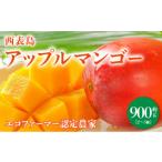 ふるさと納税 マンゴー 沖縄県 竹富町 2025年6月中旬発送予定。『箱を開けた瞬間から、至極のひと時を』西表島プレミアムマンゴー900g