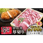 豚肉 ロース とんかつにも 長崎うずしおポーク