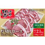 長崎うずしおポーク ロース とんかつ用 計2.1kg