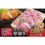 豚肉 ロース とんかつにも 長崎うずしおポーク