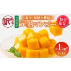 ふるさと納税 マンゴー 宮崎県 日南市 訳あり 数量限定 希少 完熟 マンゴー 鉢植え栽培 計1kg以上 期間限定 くだもの 果物 フルーツ 不揃い 糖度13度以上 日南…