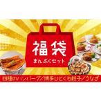ふるさと納税 肉 ハンバーグ 福岡県 新宮町 AB238.新宮町福袋 まんぷくセット