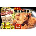 惣菜 レトルト 冷凍 土曜はナニする で紹介されました