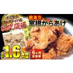 鶏肉 唐揚げ 土曜はナニする で紹介されました