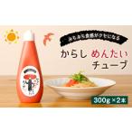 魚貝類 明太子 からし めんたいチューブ 300g×2本