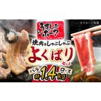 焼肉&しゃぶしゃぶセット うずしおポーク 計1.4kg