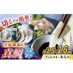 魚貝類 鯛 真鯛 刺身 土日お届け 堪能 5点セット