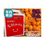 ふるさと納税 果物類 みかん 和歌山県 有田川町 年内発送 完熟早生 有田みかん 小玉ちゃん 等級混合 2.2 kg 和歌山 南泰園 みかん