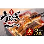 うなぎ 大型サイズふっくら柔らか うなぎ蒲焼き 3尾
