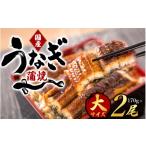 うなぎ 大型サイズふっくら柔らか うなぎ蒲焼き 2尾