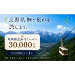 宿泊券 旅館 民宿 日本旅行 地域 旅行クーポン30 000円分