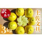 ふるさと納税 果物類 みかん 高知県 須崎市  2026年2月下旬より順次発送 訳あり 文旦 3kg 4〜7玉 家庭用 ブンタン ぶんたん 分担 ぼんたん 大小混合 不揃い 規…