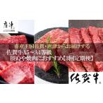 牛肉 焼肉 バーベキュー 定期便全3回 佐賀牛