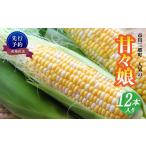 とうもろこし 産甘々娘 12本入り