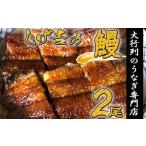 ふるさと納税 うなぎ 岐阜県 関市 G18-02 しげ吉 炭火焼 うなぎ長焼き 2本セット（冷蔵）