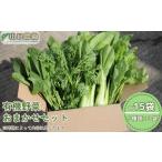 セット 詰合せ チルド 山口農園 有機野菜 おまかせセット