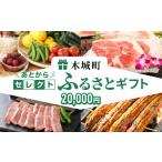 ポイント あとからセレクト ふるさと 2万円